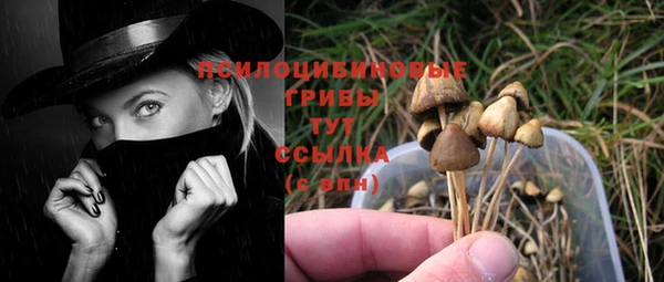 герыч Белокуриха
